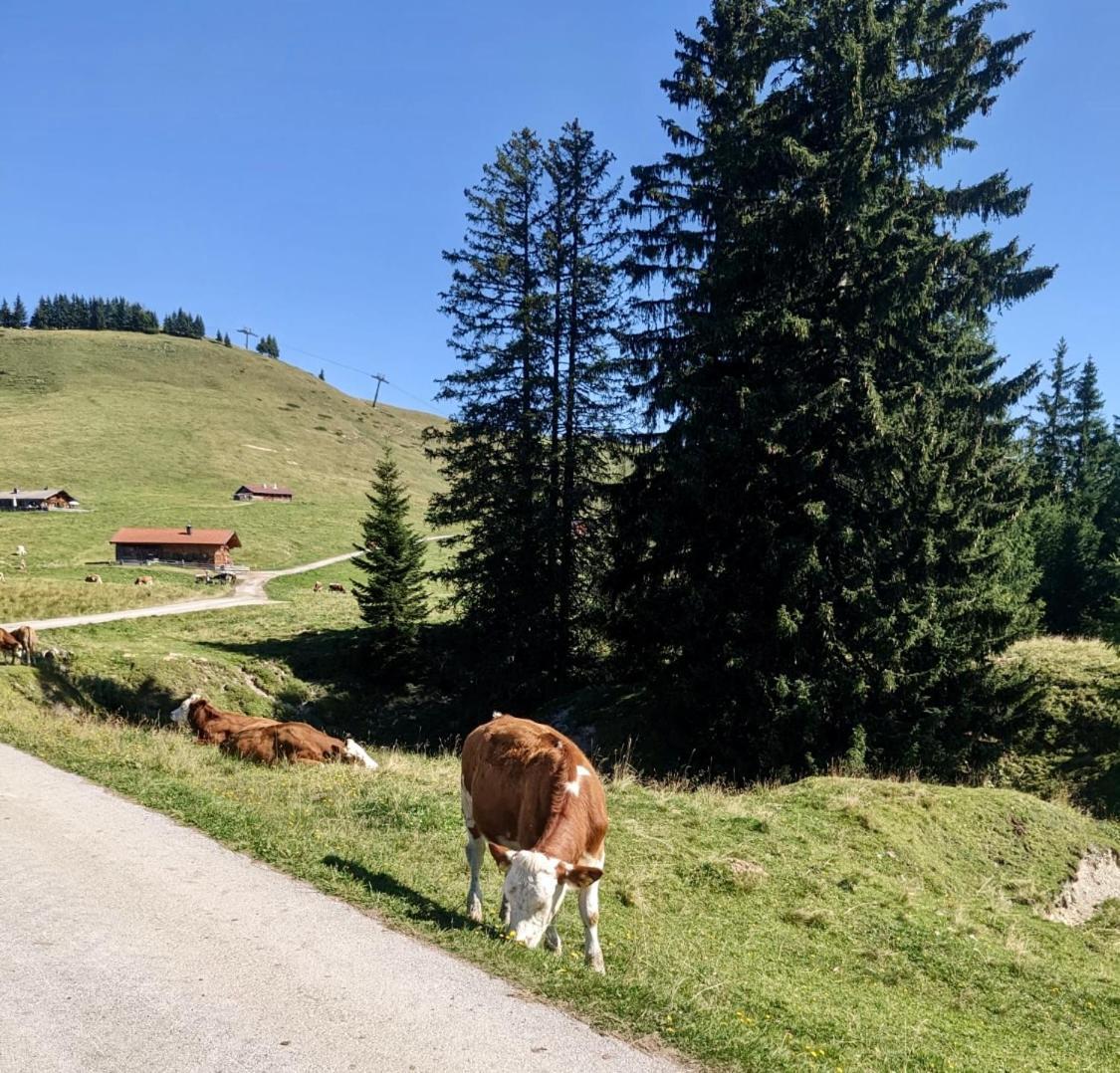 Ferien Am Sonnberg Apartment Unken Luaran gambar